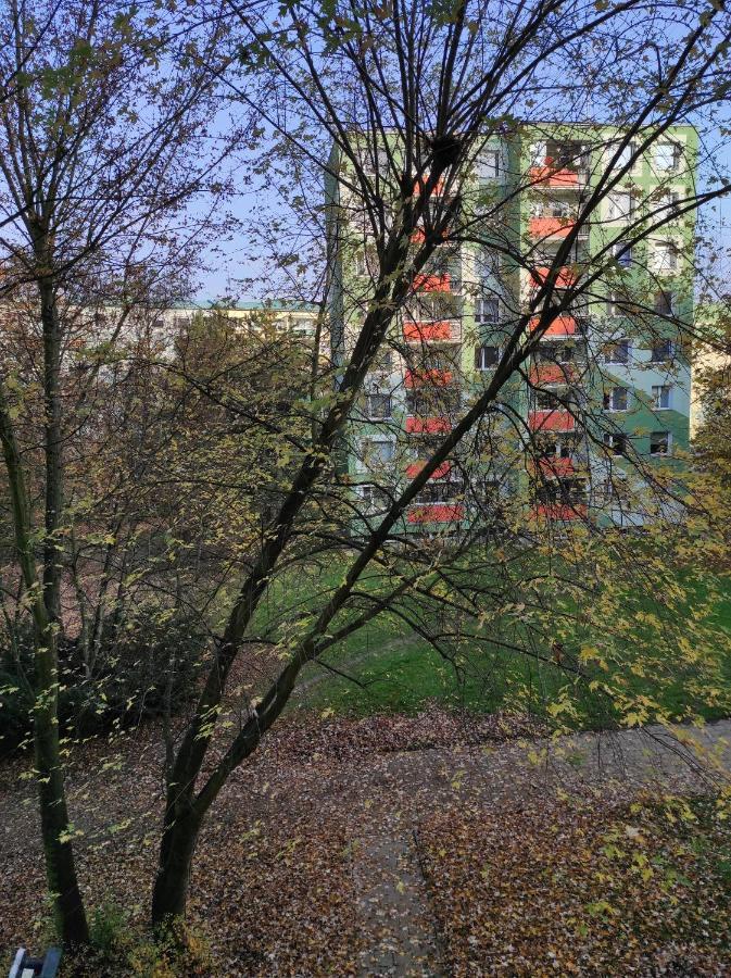 Stiborka Apartment Olomouc Exterior photo